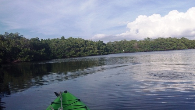 paddling Cockroach Bay, kayak, canoe