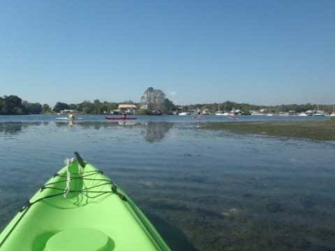 paddle Crystal River, Kings Bay, kayak, canoe