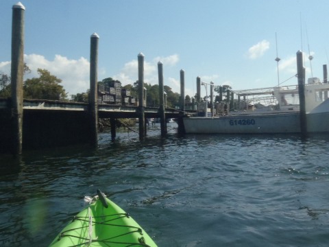 paddle Crystal River, Kings Bay, kayak, canoe