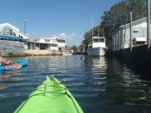 paddle Crystal River, Kings Bay, kayak, canoe