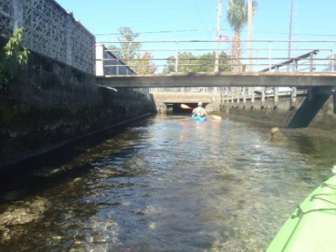 paddle Crystal River, Kings Bay, kayak, canoe