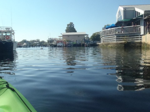 paddle Crystal River, Kings Bay, kayak, canoe