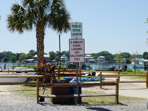 Paddle Crystal River