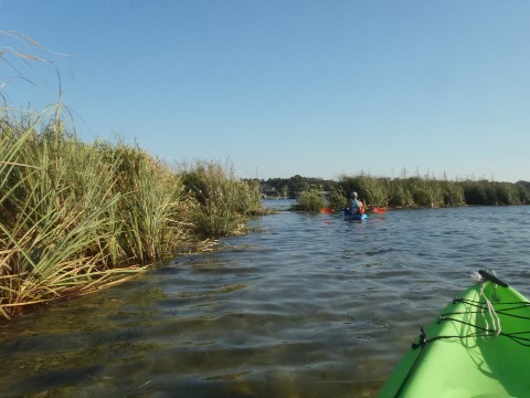 paddling Crystal River, kayak, canoe