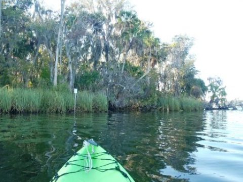 paddling Crystal River, kayak, canoe