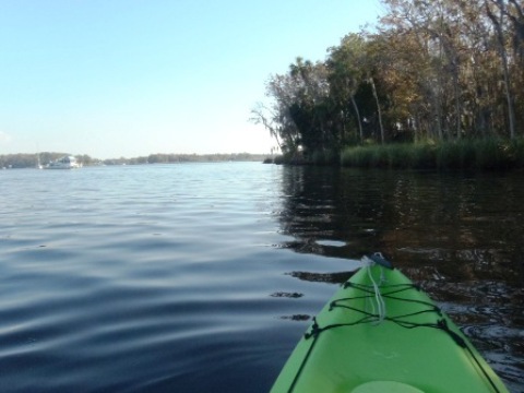 paddling Crystal River, kayak, canoe