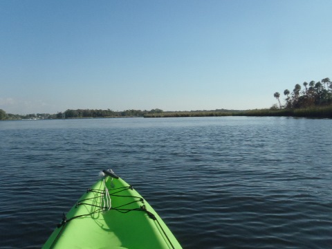 paddling Crystal River, kayak, canoe