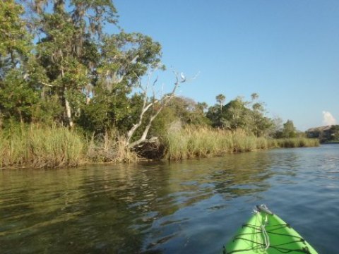 paddling Crystal River, kayak, canoe