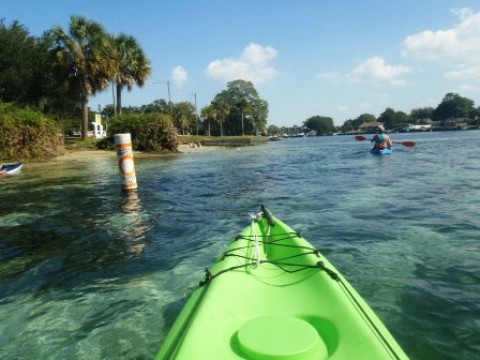 paddle Crystal River, Kings Bay, kayak, canoe