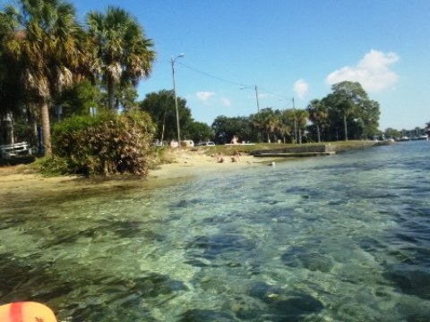 paddle Crystal River, Kings Bay, kayak, canoe