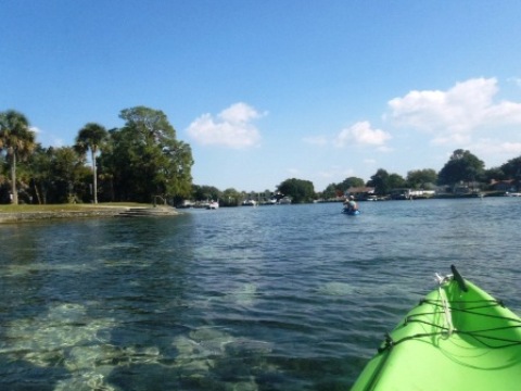 paddle Crystal River, Kings Bay, kayak, canoe