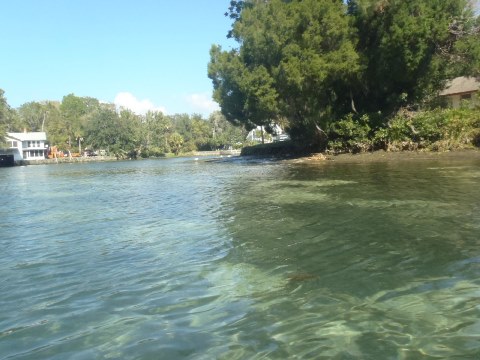 paddle Crystal River, Kings Bay, kayak, canoe