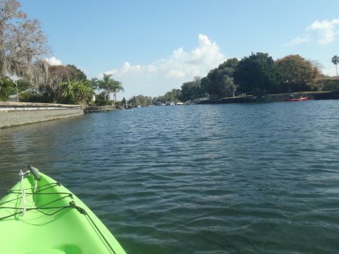 paddling Crystal River, kayak, canoe