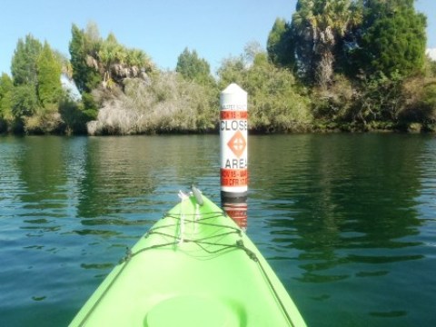 paddling Crystal River, kayak, canoe