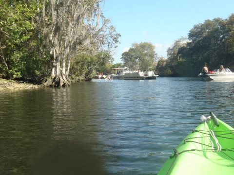 paddling Crystal River, kayak, canoe