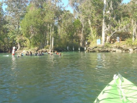 paddling Crystal River, kayak, canoe