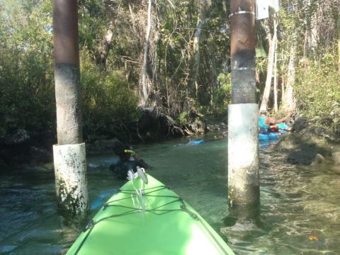 paddling Crystal River, kayak, canoe