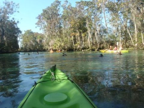 paddling Crystal River, kayak, canoe