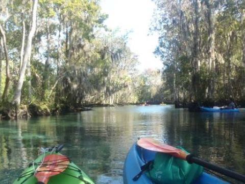 paddling Crystal River, kayak, canoe