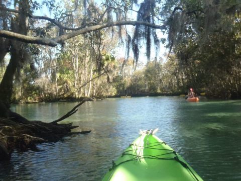 paddling Crystal River, kayak, canoe