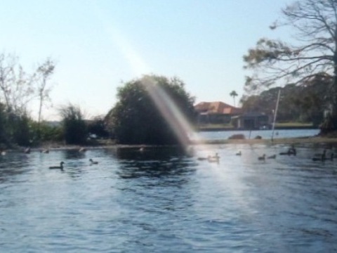 paddle Crystal River, Kings Bay, kayak, canoe