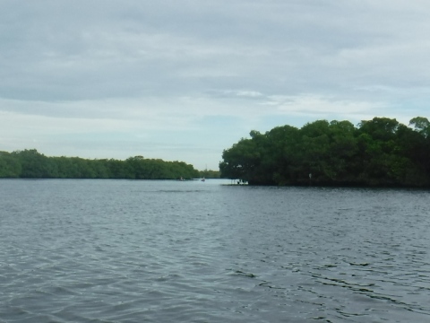 Fort Desoto Park paddling trail, kayak, canoe