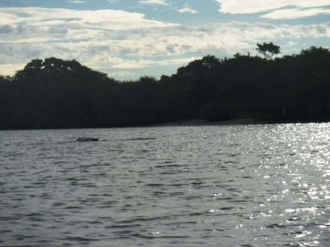 Fort Desoto Park paddling trail, kayak, canoe