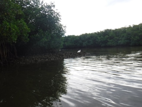 Fort Desoto Park paddling trail, kayak, canoe