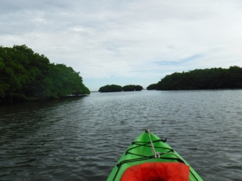 Fort Desoto Park paddling trail, kayak, canoe