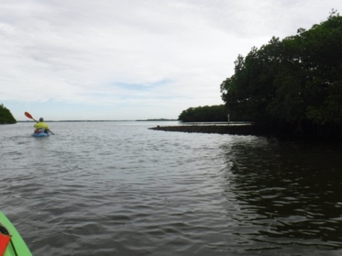 Fort Desoto Park paddling trail, kayak, canoe