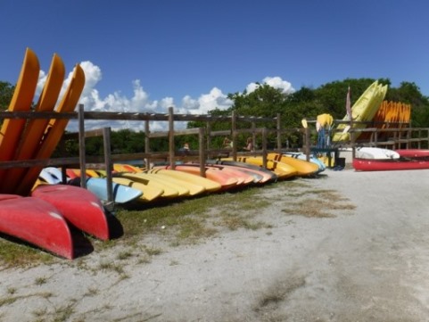 Fort Desoto Park paddling trail, kayak, canoe