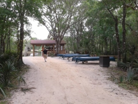 paddling Hillsborough River