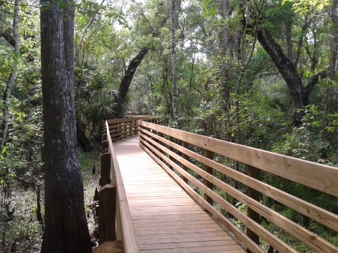 paddling Hillsborough River