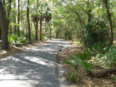 paddling Hillsborough River