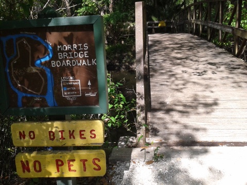 paddling Hillsborough River