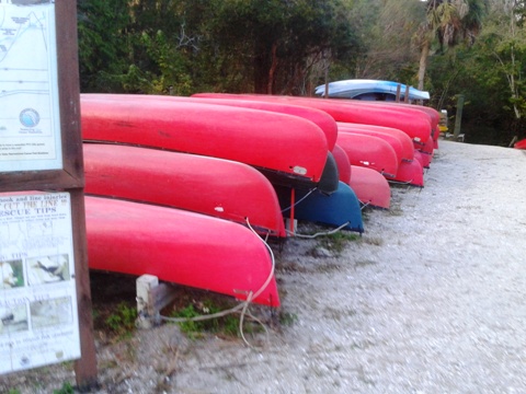 paddling Hillsborough River