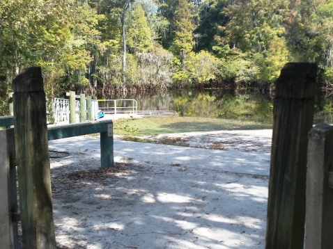 paddling Hillsborough River