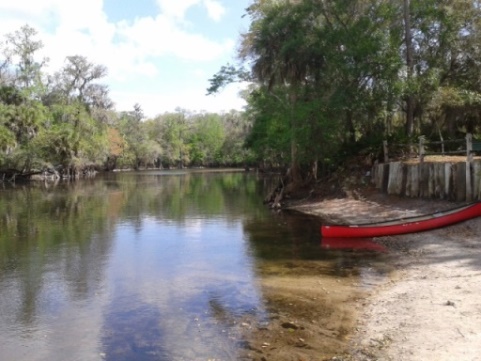 paddling Hillsborough River