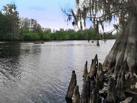 paddle Hillsborough River, kayak, canoe