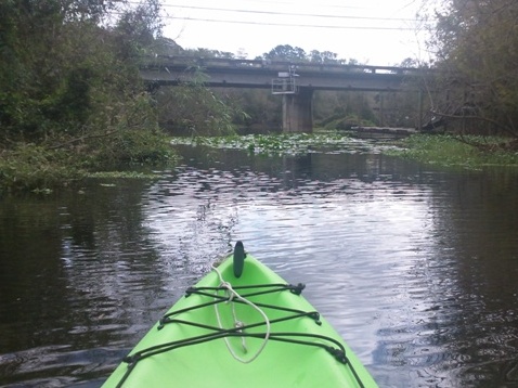 Paddling Hillsborough River