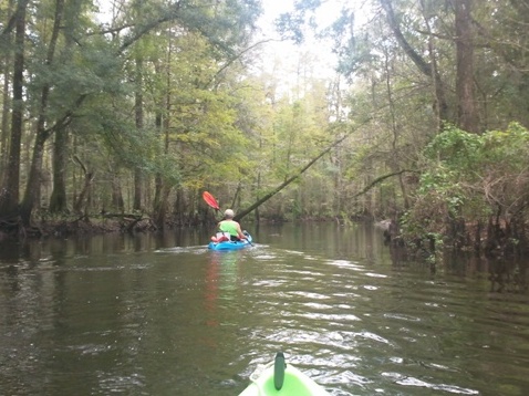 Paddling Hillsborough River