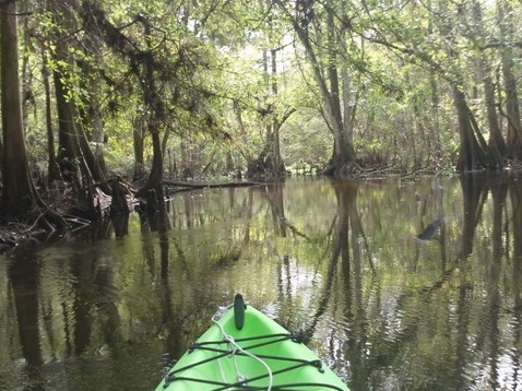 Paddling Hillsborough River