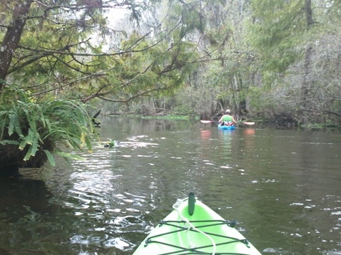 Paddling Hillsborough River