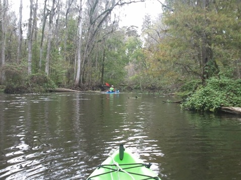 Paddling Hillsborough River