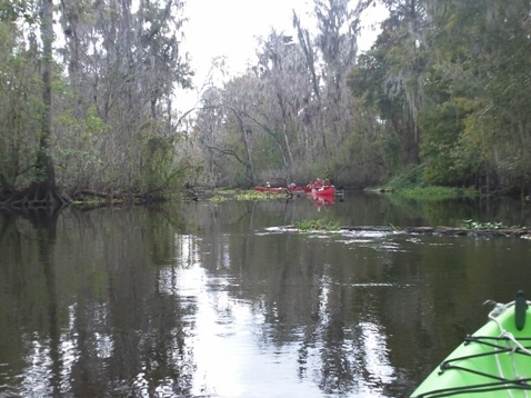 Paddling Hillsborough River