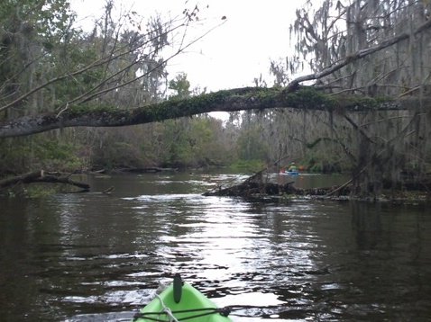 Paddling Hillsborough River