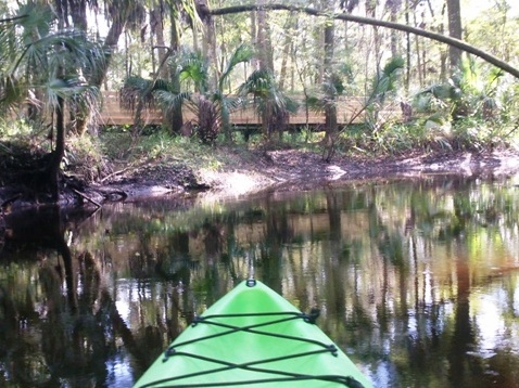 Paddling Hillsborough River