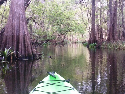 Paddling Hillsborough River