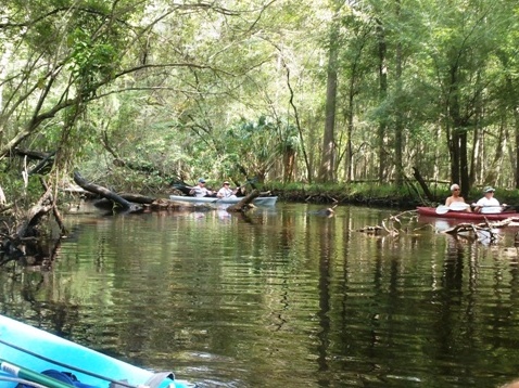 Paddling Hillsborough River