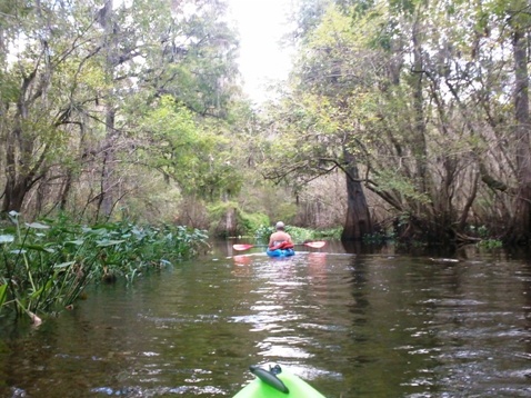 Paddling Hillsborough River